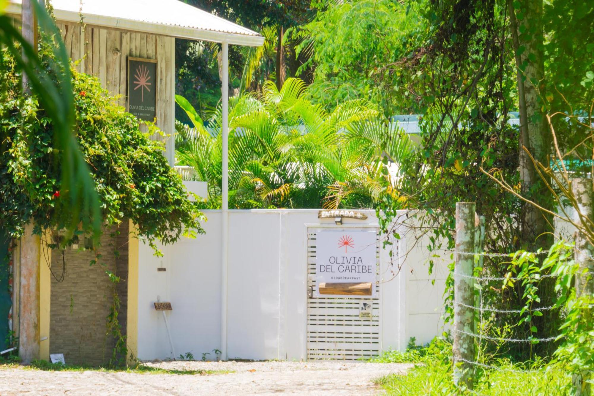 Puerto Viejo de Talamanca Olivia Del Caribe Suite מראה חיצוני תמונה